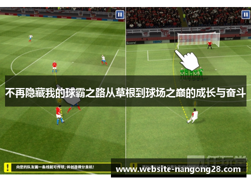 不再隐藏我的球霸之路从草根到球场之巅的成长与奋斗 不再隐藏我的球霸之路从草根到球场之巅的成长与奋斗