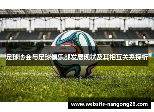 足球协会与足球俱乐部发展现状及其相互关系探析 足球协会与足球俱乐部发展现状及其相互关系探析