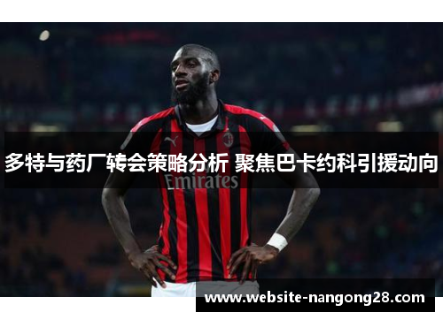 多特与药厂转会策略分析 聚焦巴卡约科引援动向 多特与药厂转会策略分析 聚焦巴卡约科引援动向