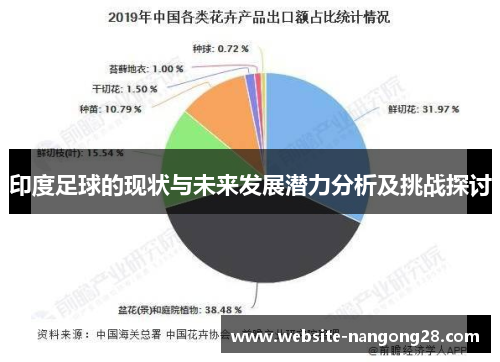 印度足球的现状与未来发展潜力分析及挑战探讨 印度足球的现状与未来发展潜力分析及挑战探讨