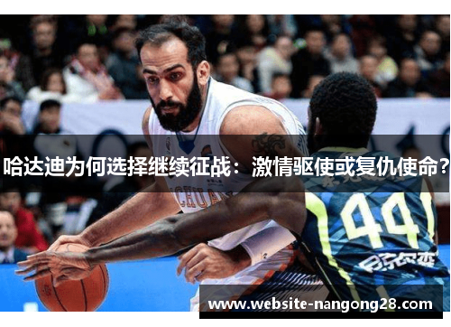 哈达迪为何选择继续征战：激情驱使或复仇使命？