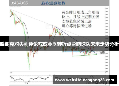 哈谢克对失利评论或成赛季转折点影响球队未来走势分析