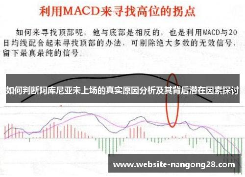 如何判断阿库尼亚未上场的真实原因分析及其背后潜在因素探讨