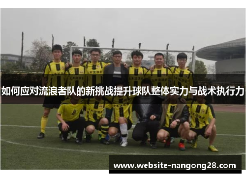 如何应对流浪者队的新挑战提升球队整体实力与战术执行力