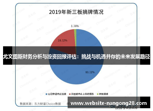 尤文图斯财务分析与投资回报评估：挑战与机遇并存的未来发展路径